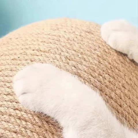 Close-up of a cat's paw on a textured surface with a light blue background