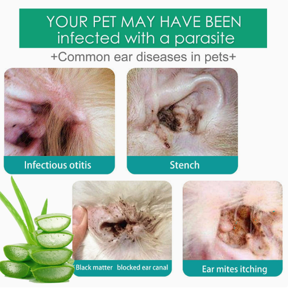 2-in-1 Pet Ear Cleaner in 20ml – Removes Wax, Stops Odor & Soothes Itching