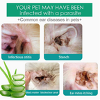 2-in-1 Pet Ear Cleaner in 20ml – Removes Wax, Stops Odor & Soothes Itching