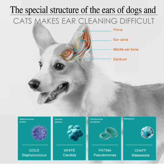2-in-1 Pet Ear Cleaner in 20ml – Removes Wax, Stops Odor & Soothes Itching