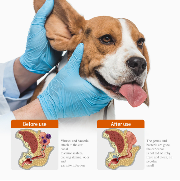 2-in-1 Pet Ear Cleaner in 20ml – Removes Wax, Stops Odor & Soothes Itching