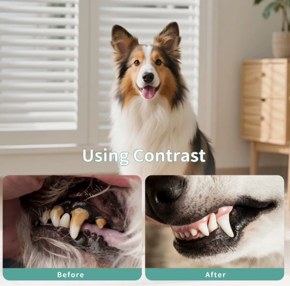 No-Brush Pet Dental Spray in 100ml – Fresh Breath & Plaque Support