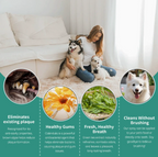 No-Brush Pet Dental Spray in 100ml – Fresh Breath & Plaque Support