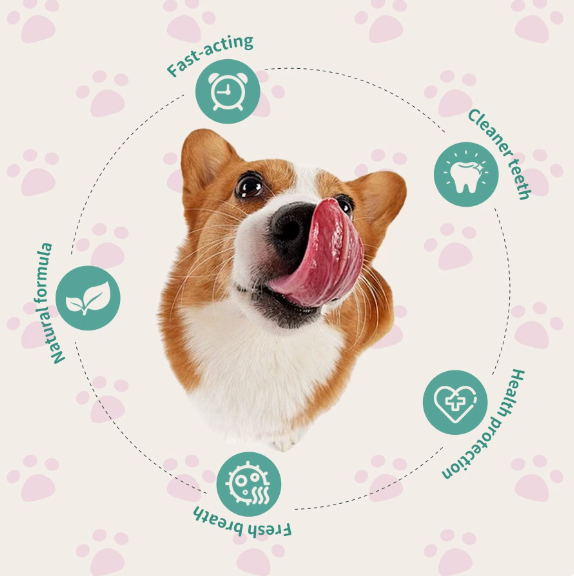 No-Brush Pet Dental Spray in 100ml – Fresh Breath & Plaque Support