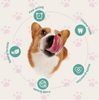 No-Brush Pet Dental Spray in 100ml – Fresh Breath & Plaque Support