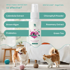 No-Brush Pet Dental Spray in 100ml – Fresh Breath & Plaque Support