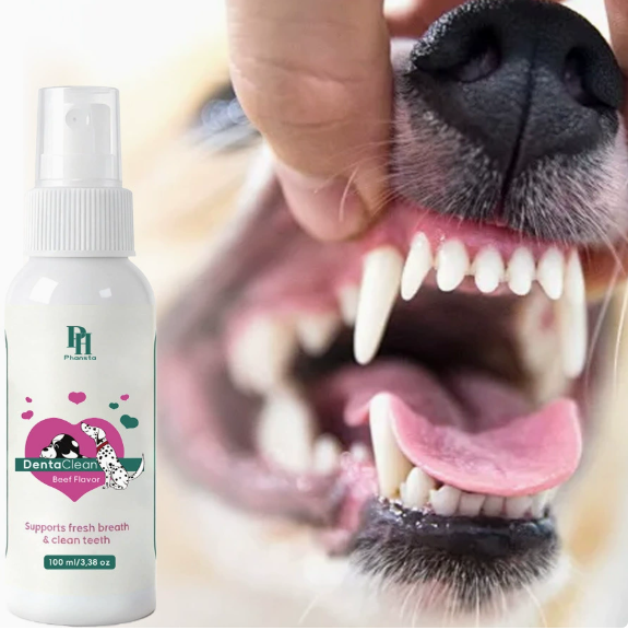 No-Brush Pet Dental Spray in 100ml – Fresh Breath & Plaque Support